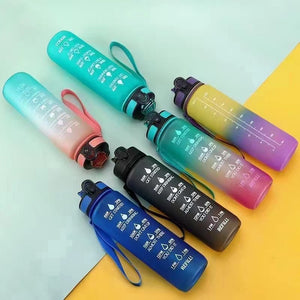Frosted Tall Portable Travel Water Bottles - Ailime Designs