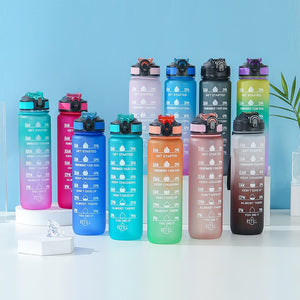 Frosted Tall Portable Travel Water Bottles - Ailime Designs