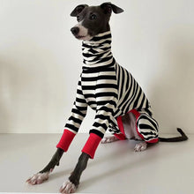 Load image into Gallery viewer, Dog Fashionable Outerwear Knit Sweater Accessories – Ailime Designs