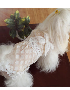 Girl Dog High Style Fashion Dresses – Ailime Designs