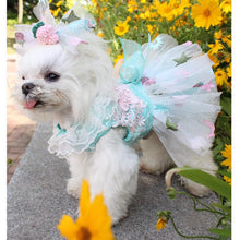 Load image into Gallery viewer, Girl Dog High Style Fashion Dresses – Ailime Designs