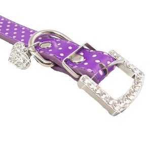 Girl Dog Polka Dot Collars - Ailime Designs