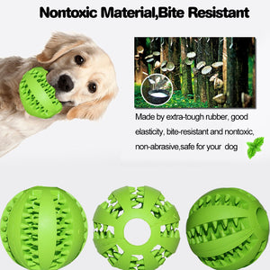 Pet Accessories - Animal Treat Balls Products