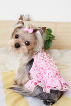 Load image into Gallery viewer, Girl Dog High Style Fashion Dresses – Fine Quality Accessories