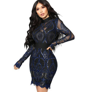 Women's Two-toned Sequin Design Body-con Dresses