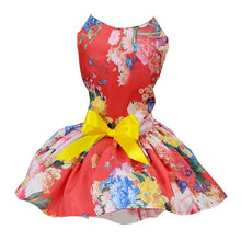 Load image into Gallery viewer, Girl Dog High Style Fashion Dresses – Fine Quality Accessories