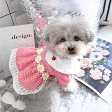 Load image into Gallery viewer, Girl Dog High Style Fashion Dresses – Ailime Designs