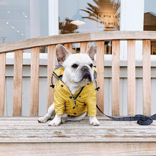 Load image into Gallery viewer, Waterproof Outdoor Pet Raincoat Protection - Ailime Designs