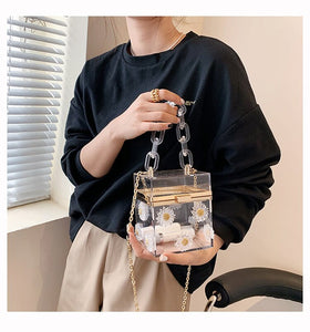 Women's Mini Size Transparent Purses - Ailime Designs