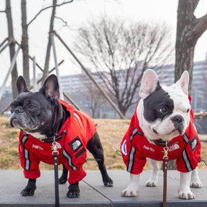 Waterproof  Outdoor Pet Raincoat Protection - Ailime Designs