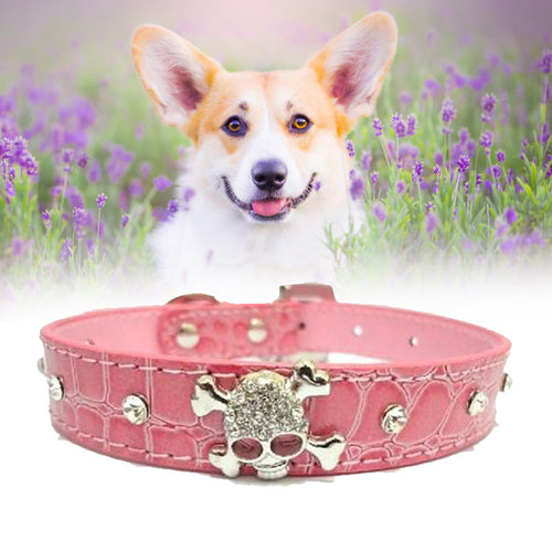 Animal Decorative Walking Leashes And Collars- Pet Accessories - Ailime Designs